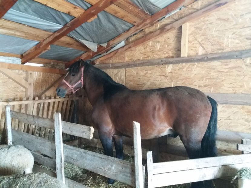 IMG-20180212-WA0001 - Arcan