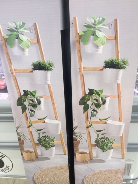 31.01.2018-Scărița - Modele de Raft