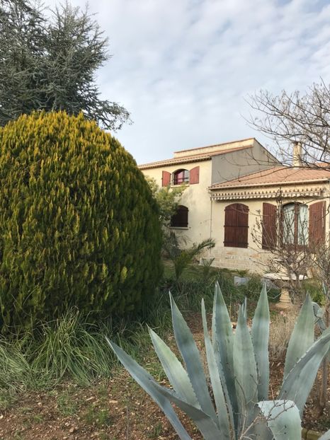 D90B336B-014F-4C5A-B908-FF9148C371D2 - Spania Franța 2018