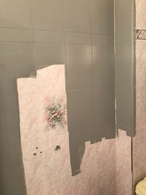 A432E2A5-3AA5-469B-8403-294FABC83910 - Spania Franța 2018