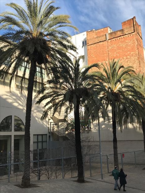 9D36A787-5B6E-4F9A-BAA2-674D23135727 - Spania Franța 2018