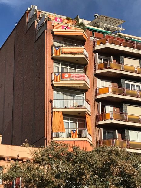 44848235-83B5-49A2-A8A0-1A3C859B314B - Spania Franța 2018