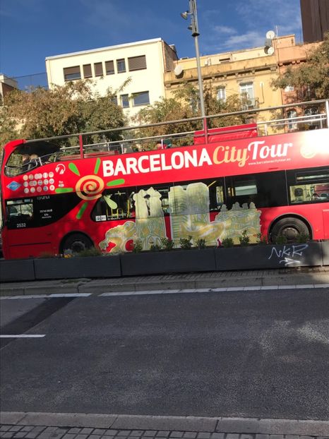 BE525874-8A18-4B49-80A0-EDB448A28CB8 - Spania Franța 2018