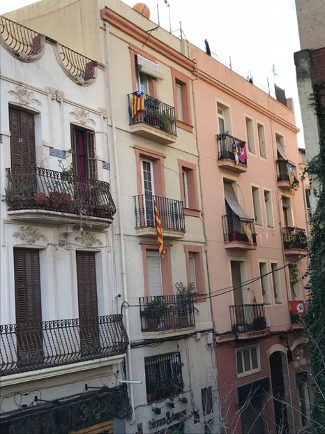 918600FC-94BA-4058-AF5F-010643142866 - Spania Franța 2018