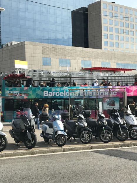 7C610873-45B5-4AD2-AD1E-EF9267097154 - Spania Franța 2018