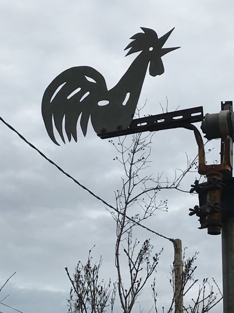 81901893-F4C4-4D1D-94E0-3D0CDA0F428D - Spania Franța 2018