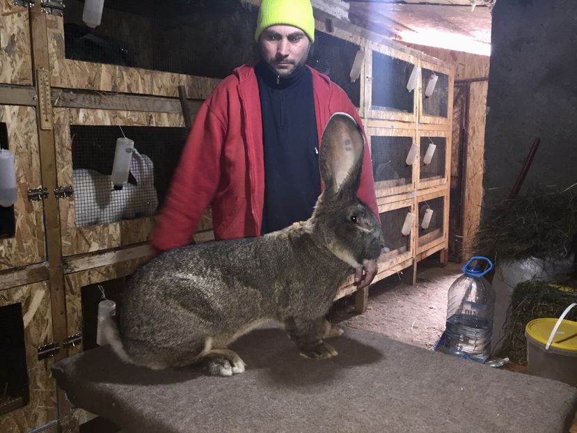  - Preferatul meu de anul trecut