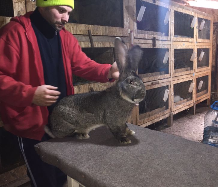  - Preferatul meu de anul trecut