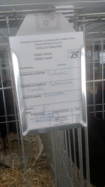  - Jersey urias negru