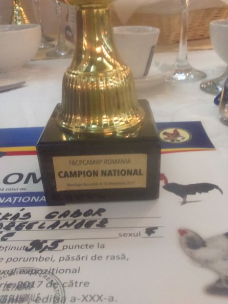 Bucuresti 2017 - Rezultatele mele