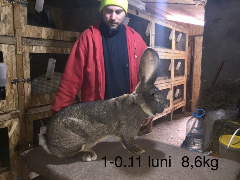  - Preferatul meu de anul trecut