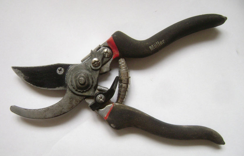 Foarfeca Moller Ungaria - Foarfeci