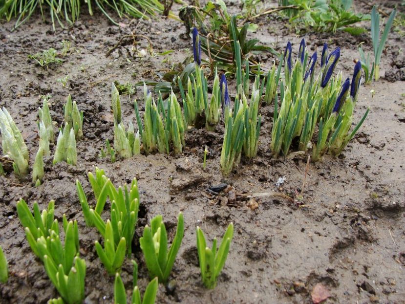  - Ianuarie 2018 - Februarie 2018