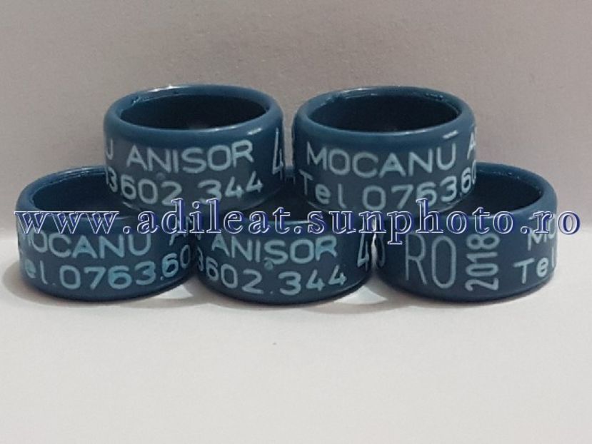 TextArt_180224144633 - 1-A-INELE PERSONALIZATE 2018