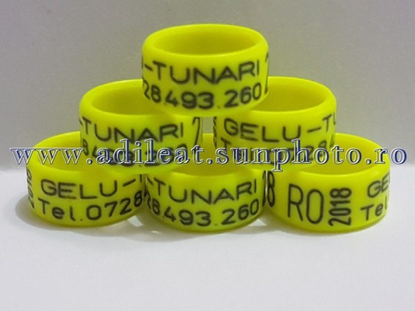 TextArt_180224144722 - 1-A-INELE PERSONALIZATE 2018