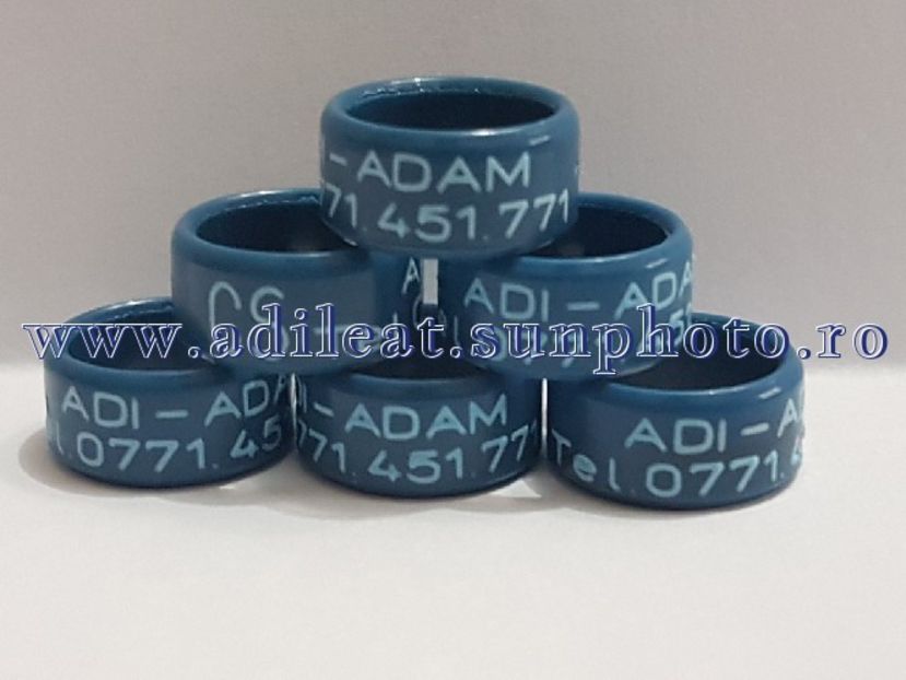 TextArt_180224144707 - 1-A-INELE PERSONALIZATE 2018