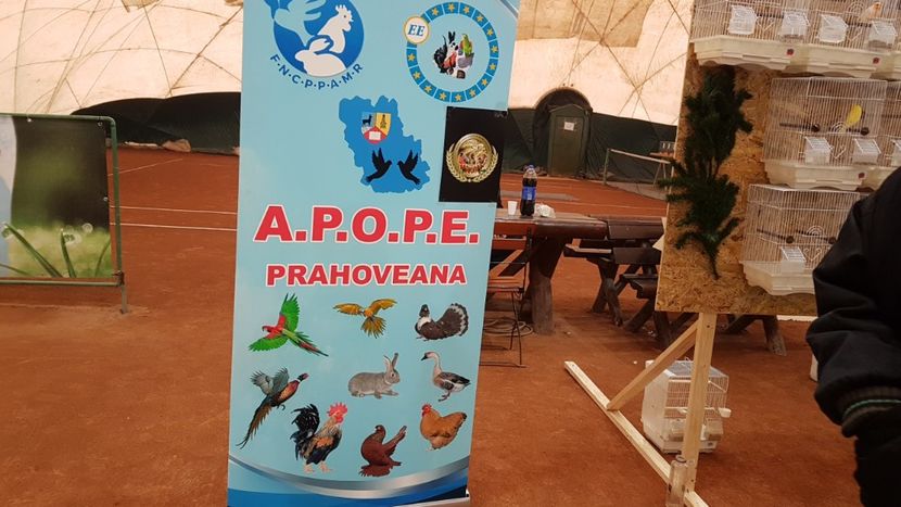  - 0 - Expozitie Ploiesti - A P O P E Prahoveana 23-25 Febr