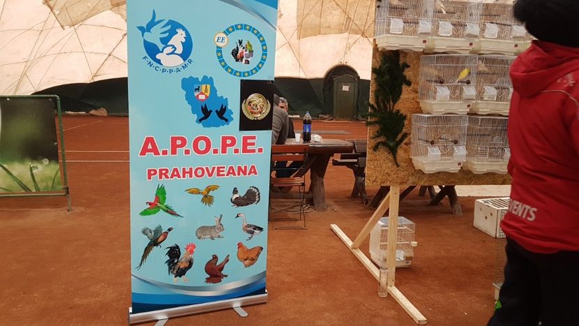  - 0 - Expozitie Ploiesti - A P O P E Prahoveana 23-25 Febr