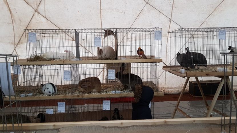  - 0 - Expozitie Ploiesti - A P O P E Prahoveana 23-25 Febr