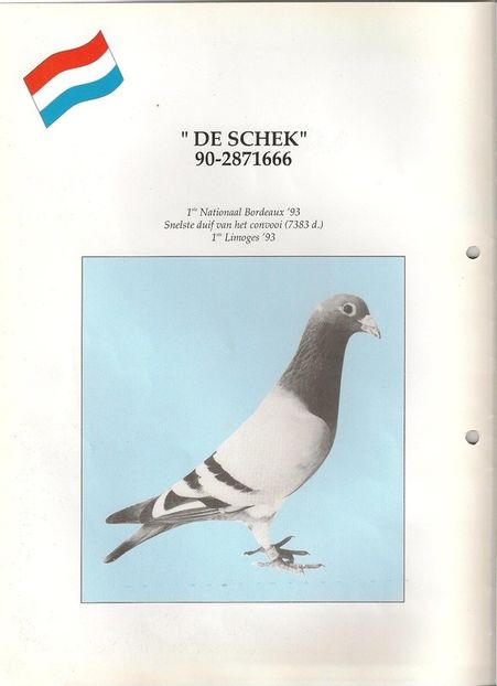 De Schek - bunic (2) - Porumbei matca 2018 pagina in constructie