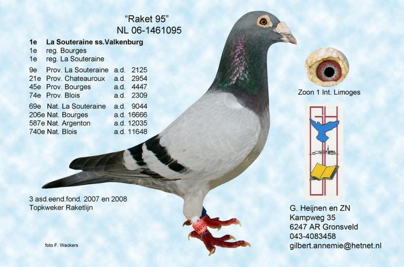 frate. (1) - Porumbei matca 2018 pagina in constructie