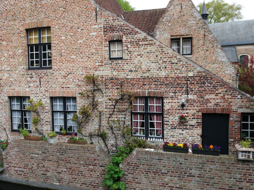 Picture 447 - Bruges-Belgia