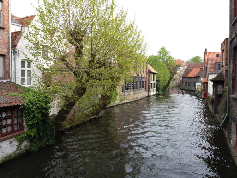 Picture 587 - Bruges-Belgia