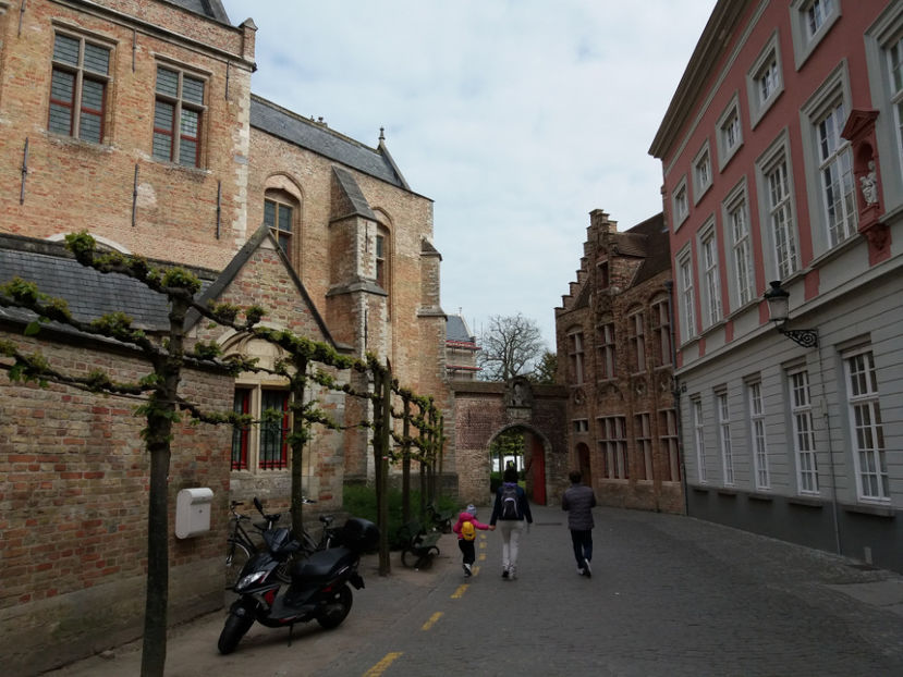 Picture 593 - Bruges-Belgia