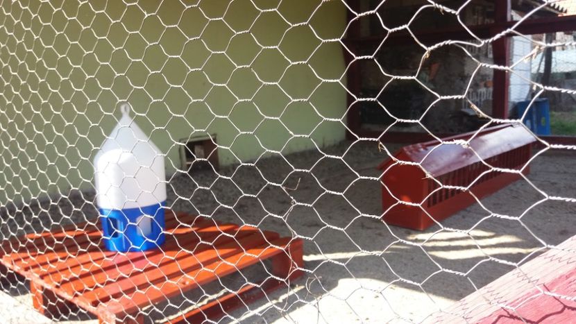  - curatenie generala pt noul sezon