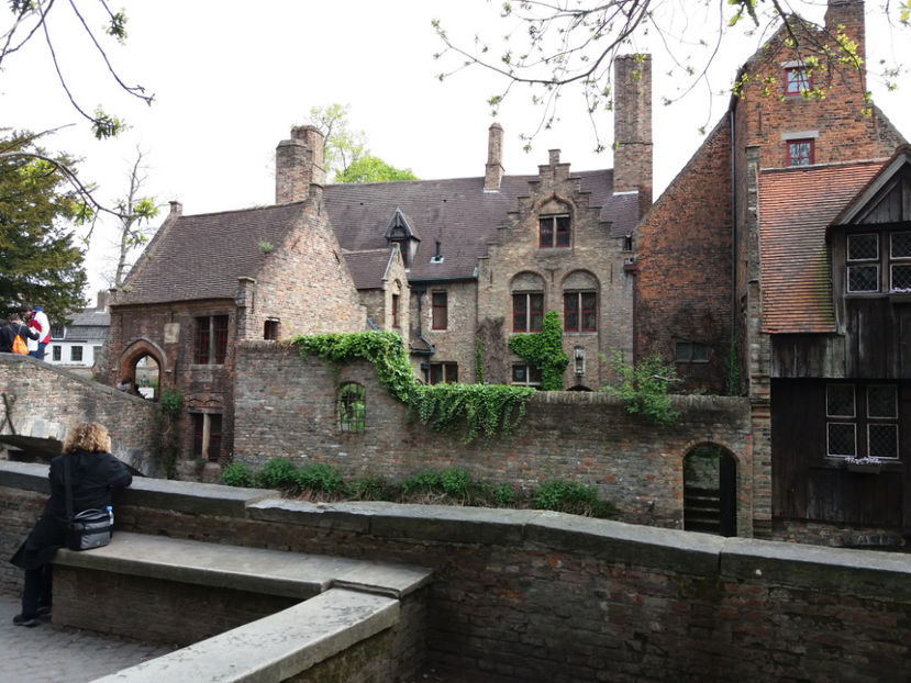 Picture 596 - Bruges-Belgia