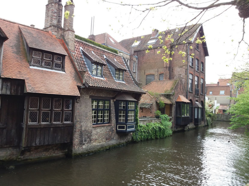 Picture 597 - Bruges-Belgia
