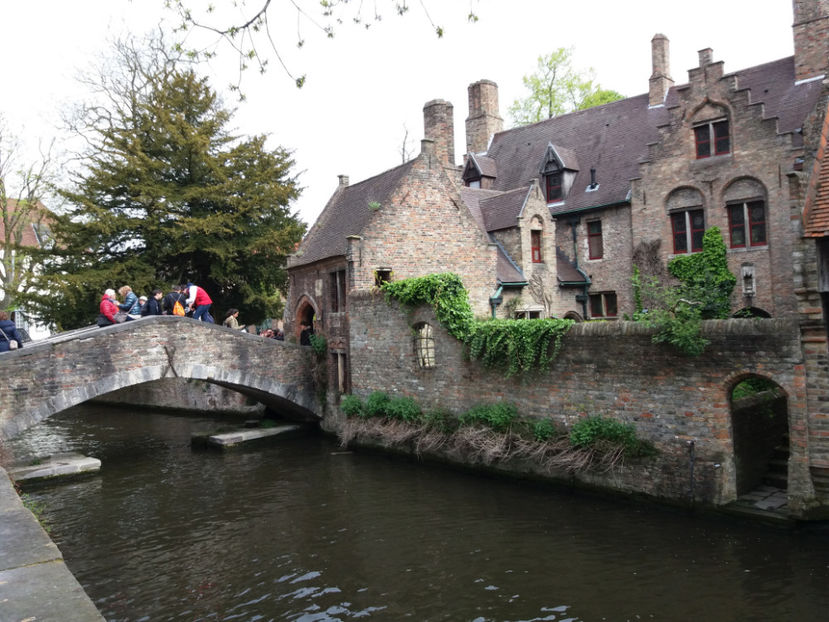 Picture 598 - Bruges-Belgia