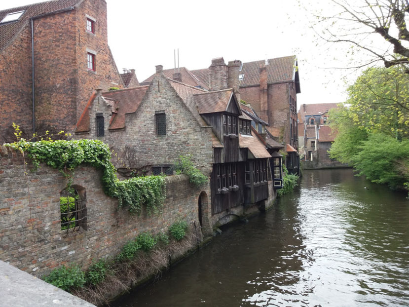 Picture 605 - Bruges-Belgia