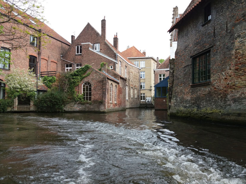 Picture 632 - Bruges-Belgia