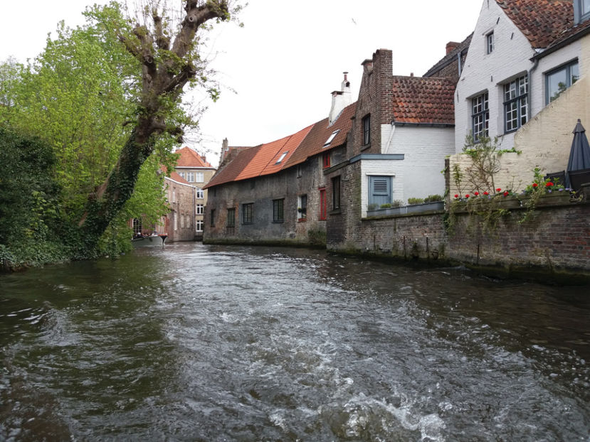 Picture 634 - Bruges-Belgia