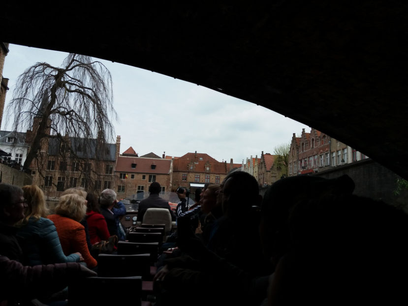 Picture 665 - Bruges-Belgia