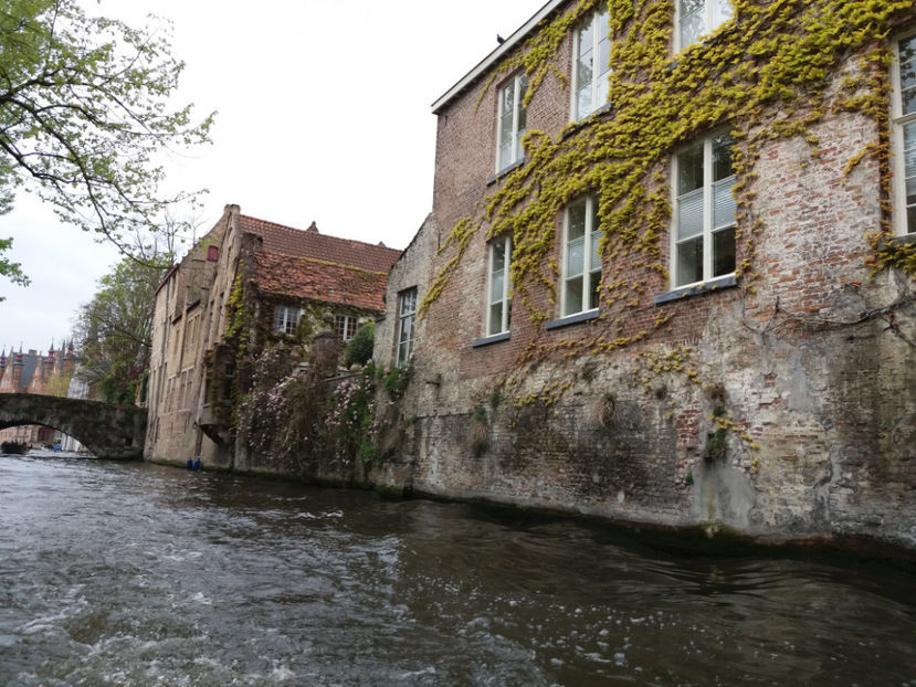 Picture 681 - Bruges-Belgia