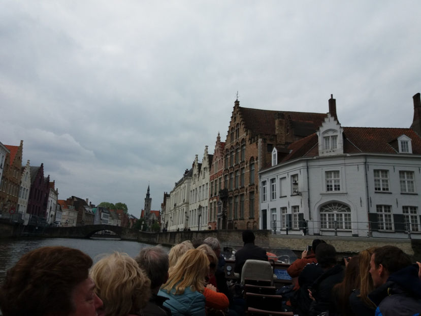 Picture 695 - Bruges-Belgia