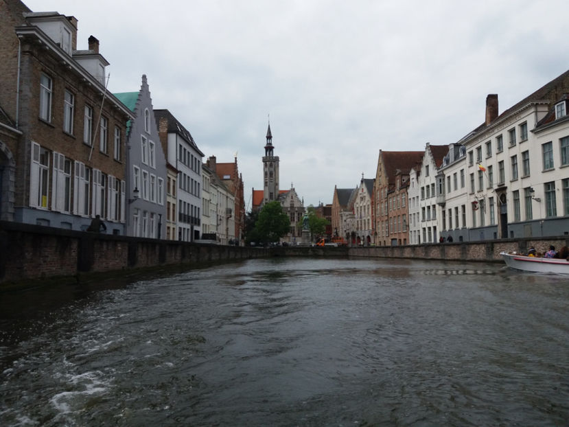 Picture 703 - Bruges-Belgia
