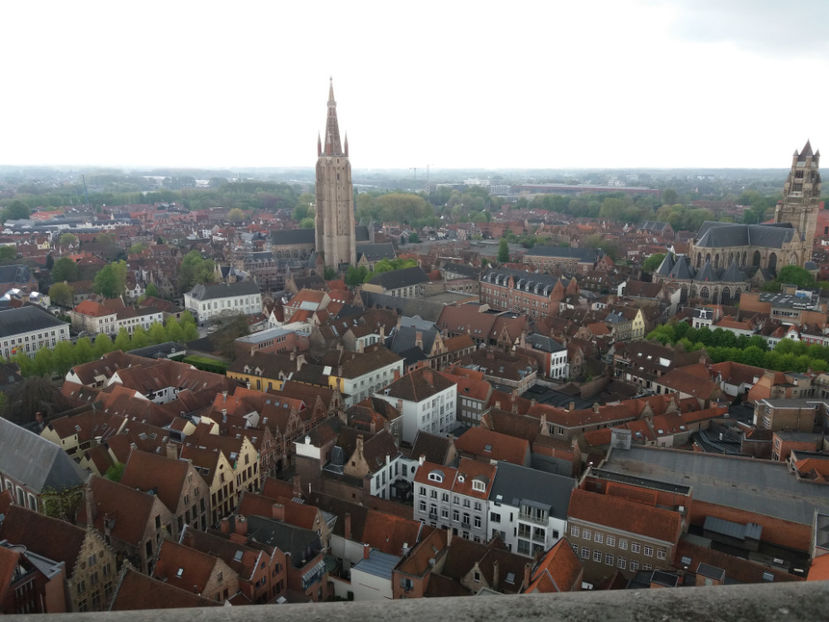 Picture 790 - Bruges-Belgia