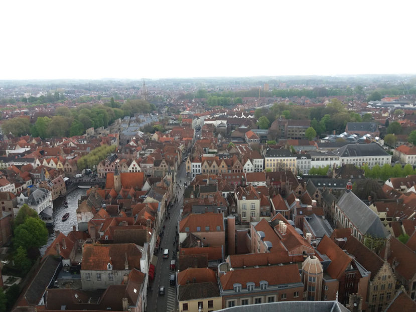 Picture 792 - Bruges-Belgia