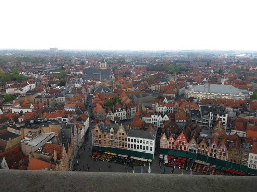Picture 795 - Bruges-Belgia