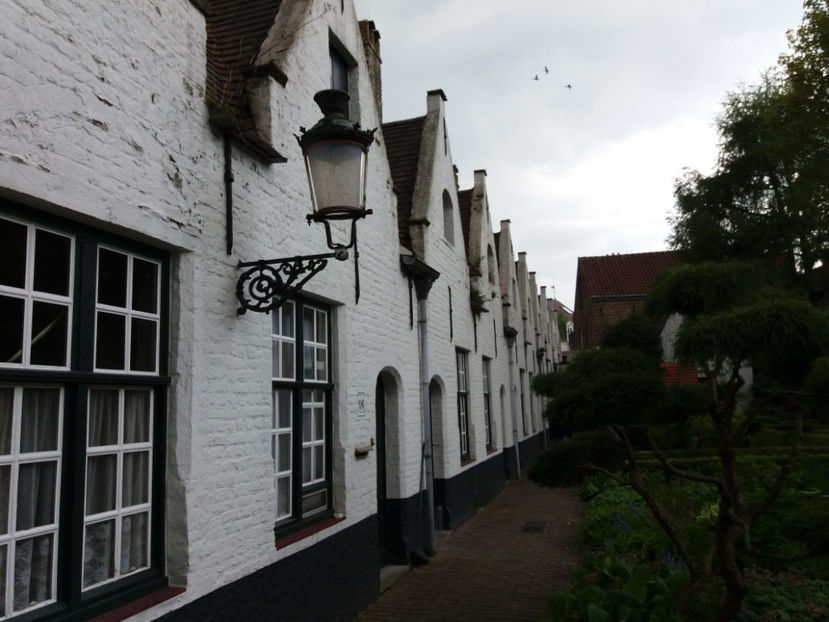 Picture 833 - Bruges-Belgia