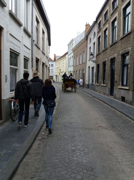 Picture 835 - Bruges-Belgia