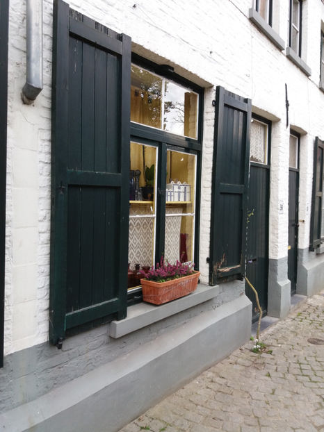 Picture 842 - Bruges-Belgia