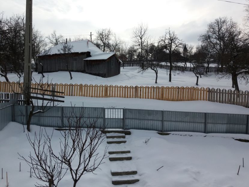  - 000000000000001   GRADINA MEA