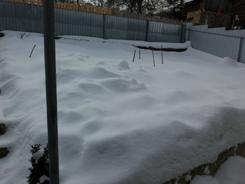  - 000000000000001   GRADINA MEA