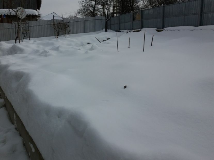  - 000000000000001   GRADINA MEA