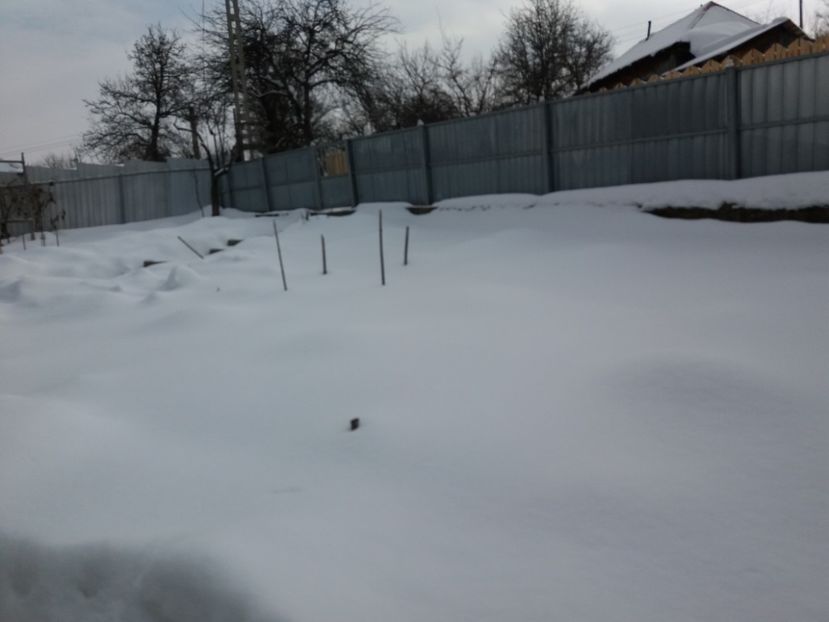  - 000000000000001   GRADINA MEA