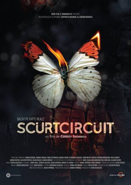 Scurtcircuit (2017) - Filme in curand